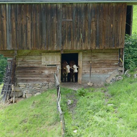 Bergpension-Ebental Brixen im Thale Extérieur photo