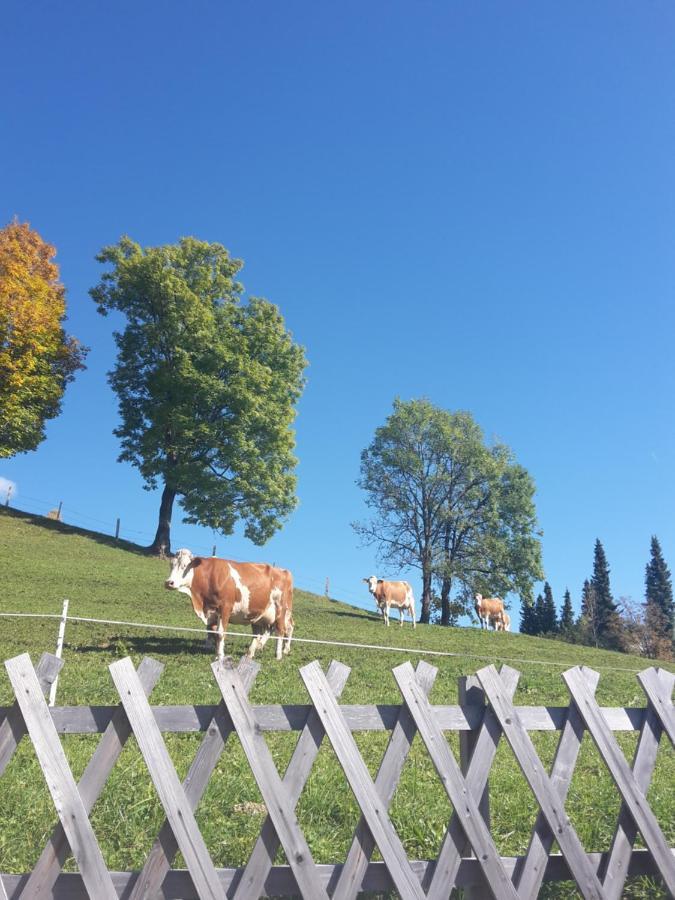 Bergpension-Ebental Brixen im Thale Extérieur photo
