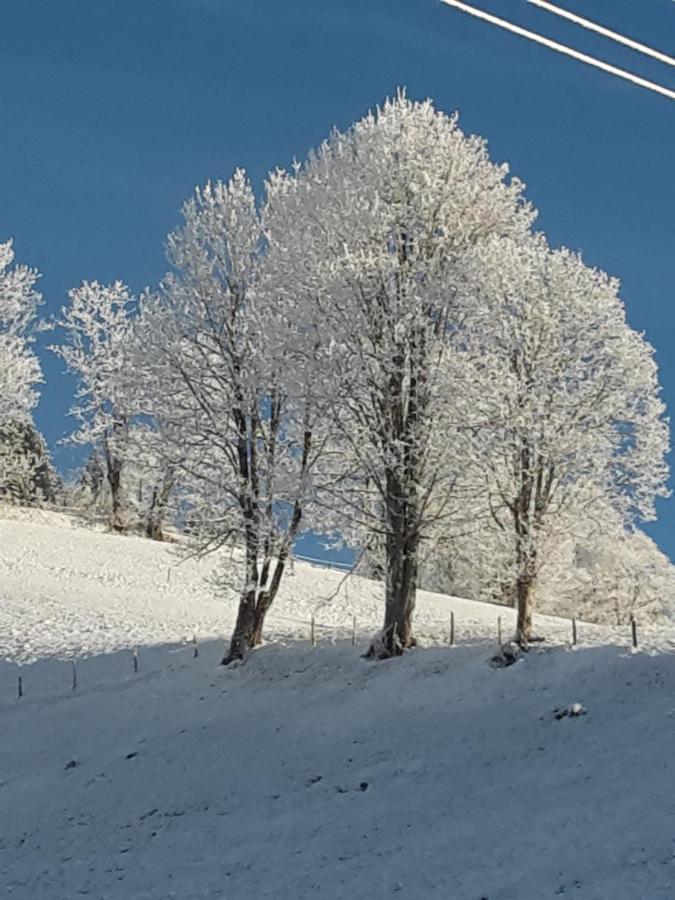 Bergpension-Ebental Brixen im Thale Extérieur photo
