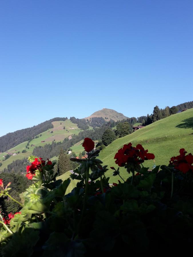 Bergpension-Ebental Brixen im Thale Extérieur photo
